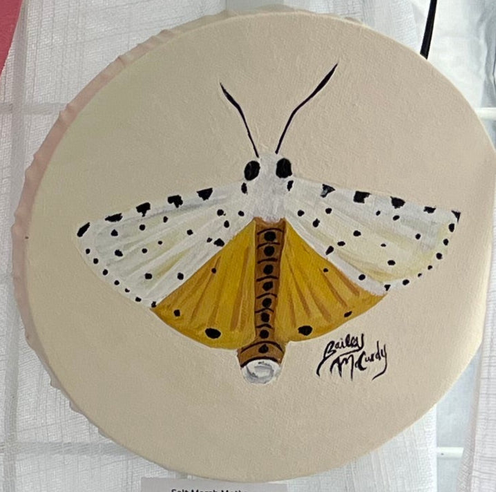 8" Salt Water Marsh Moth