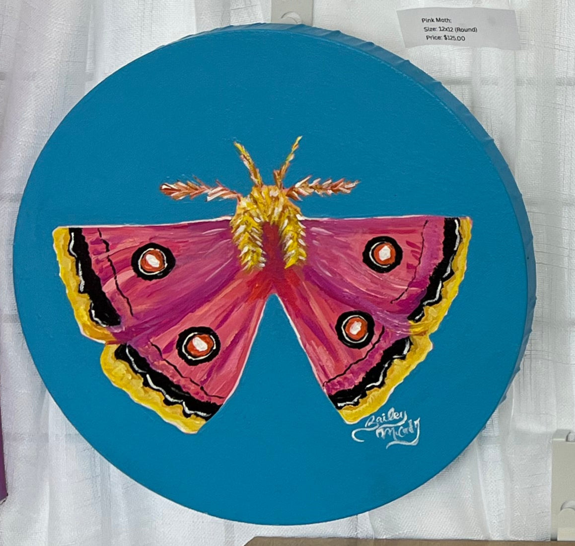 10" Pink Princess Moth on Teal Background