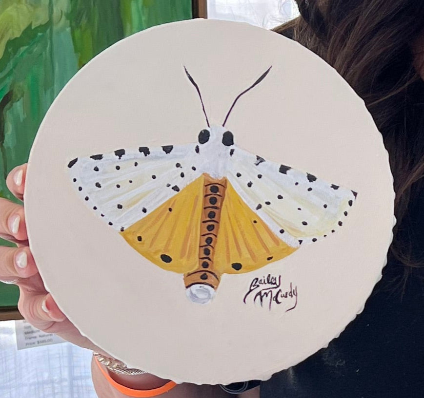 8" Salt Water Marsh Moth
