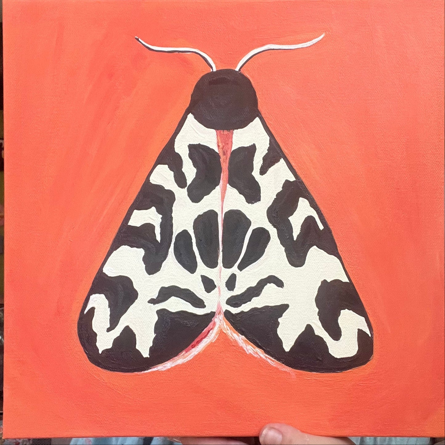 12 x 12 Tiger Moth