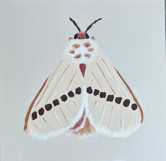 10 x 10 Blonde Moth