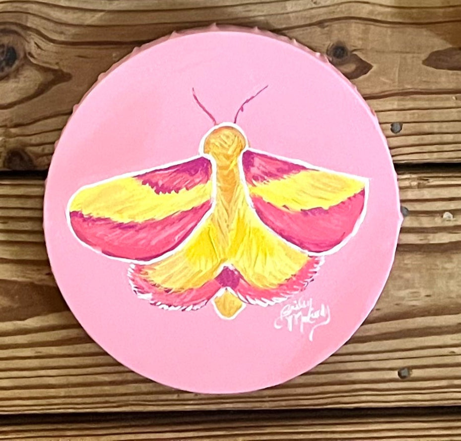 8" Rosy Maple Moth