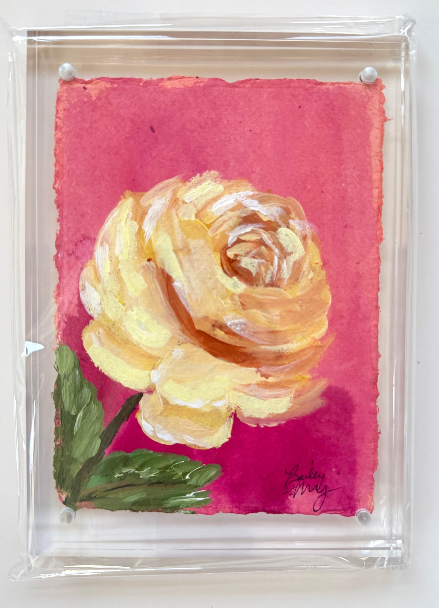 5 x 7 A Touch of Sun