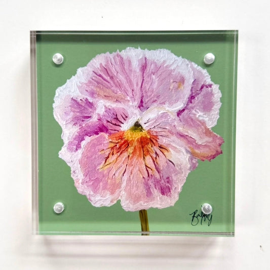 Framed 4 x 4 Dreaming of Spring Pansy