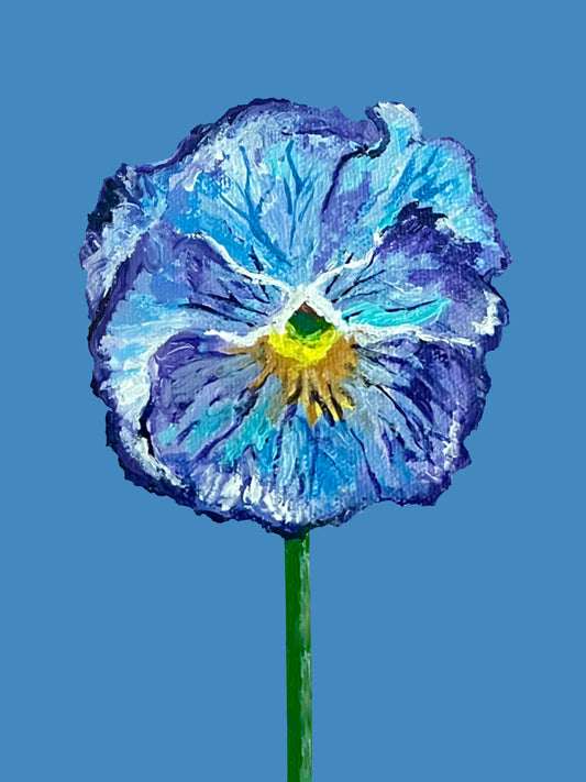 Azure Delight Pansy Print