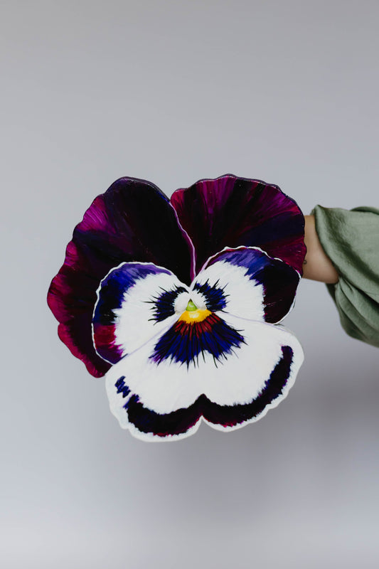 Deep Purple Pansy- Wooden Cut Out